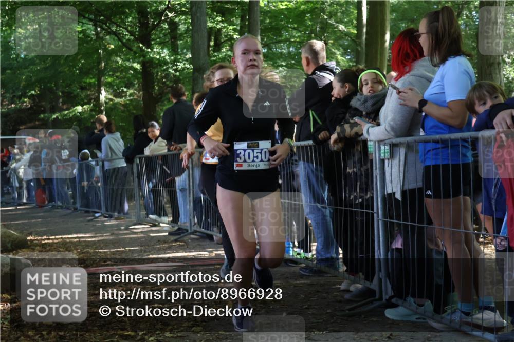 28.09.2025 - 33. Volkslauf durch das schöne Alstertal Strokosch-Dieckow http://msf.ph/oto/8966928 28.09.2025 11:36:25 Ziel 3050, 3410 meine-sportfotos.de