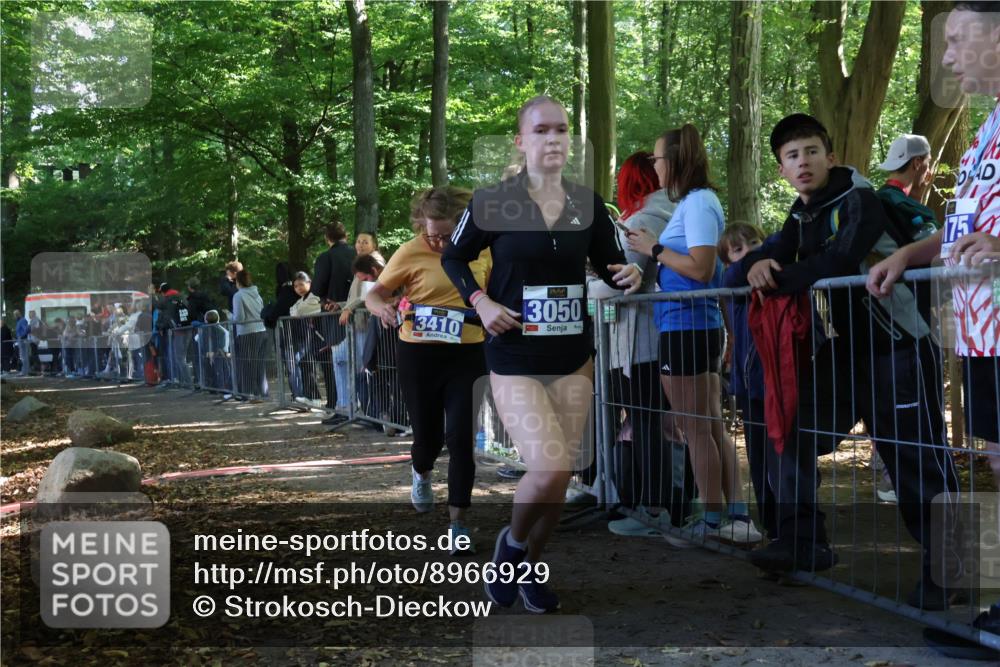 28.09.2025 - 33. Volkslauf durch das schöne Alstertal Strokosch-Dieckow http://msf.ph/oto/8966929 28.09.2025 11:36:26 Ziel 3050, 3410 meine-sportfotos.de