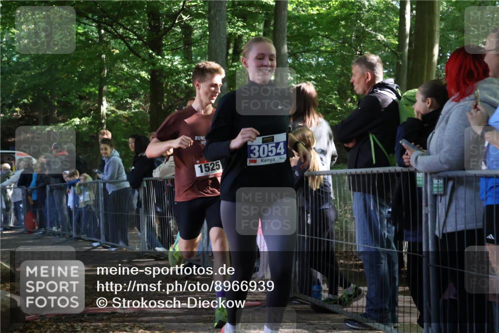 28.09.2025 - 33. Volkslauf durch das schöne Alstertal Strokosch-Dieckow http://msf.ph/oto/8966939 28.09.2025 11:36:41 Ziel 1525, 1846, 3054 meine-sportfotos.de