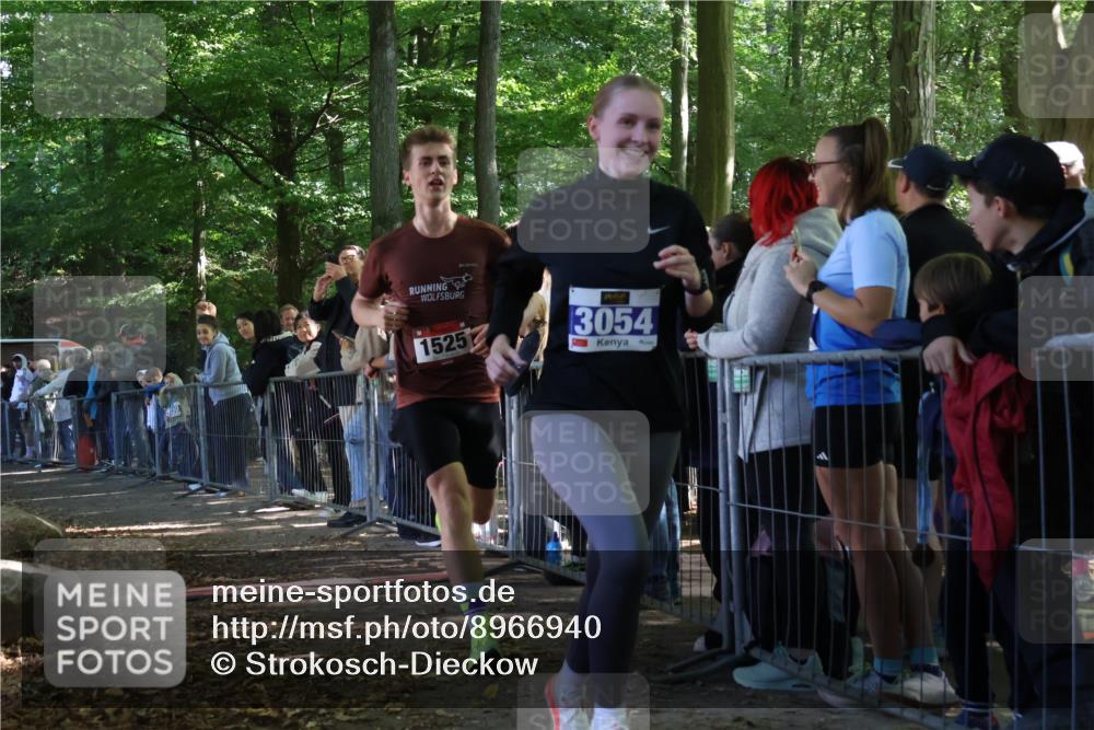 28.09.2025 - 33. Volkslauf durch das schöne Alstertal Strokosch-Dieckow http://msf.ph/oto/8966940 28.09.2025 11:36:41 Ziel 1525, 1846, 3054 meine-sportfotos.de