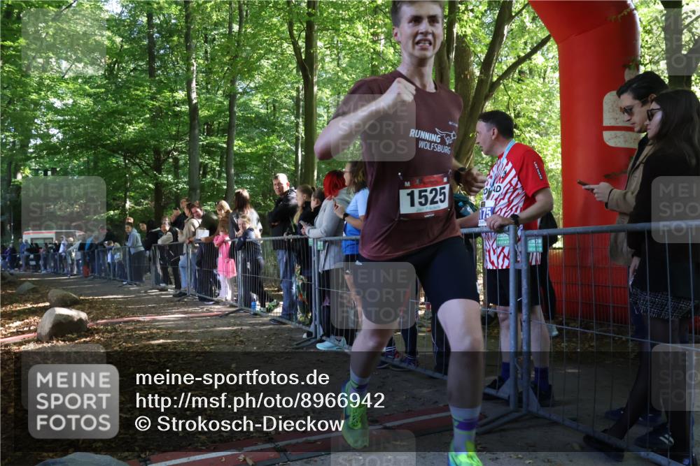 28.09.2025 - 33. Volkslauf durch das schöne Alstertal Strokosch-Dieckow http://msf.ph/oto/8966942 28.09.2025 11:36:42 Ziel 1525, 1846, 3054, 3239 meine-sportfotos.de
