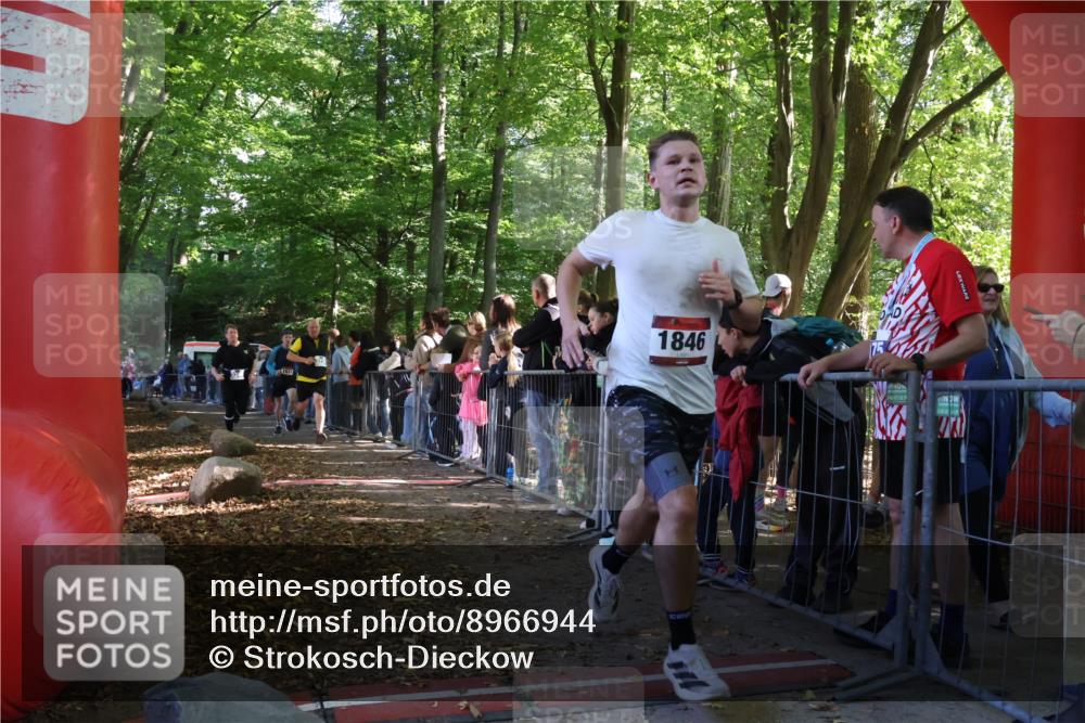 28.09.2025 - 33. Volkslauf durch das schöne Alstertal Strokosch-Dieckow http://msf.ph/oto/8966944 28.09.2025 11:36:50 Ziel 1531, 1846, 3235, 3239, 3240, 3338 meine-sportfotos.de