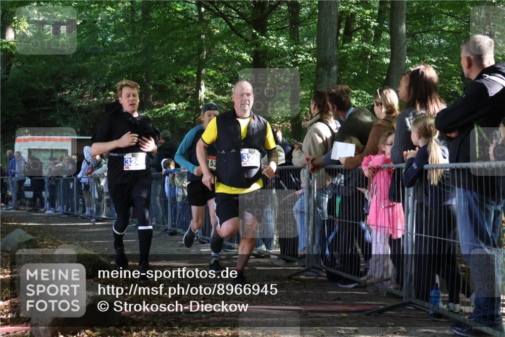 28.09.2025 - 33. Volkslauf durch das schöne Alstertal Strokosch-Dieckow http://msf.ph/oto/8966945 28.09.2025 11:36:50 Ziel 1531, 1846, 3235, 3239, 3240, 3338 meine-sportfotos.de