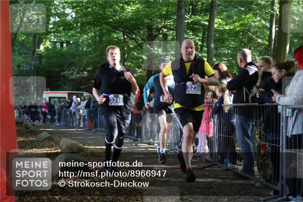 28.09.2025 - 33. Volkslauf durch das schöne Alstertal Strokosch-Dieckow http://msf.ph/oto/8966947 28.09.2025 11:36:51 Ziel 1531, 3235, 3239, 3240, 3338 meine-sportfotos.de