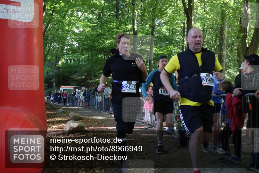 28.09.2025 - 33. Volkslauf durch das schöne Alstertal Strokosch-Dieckow http://msf.ph/oto/8966949 28.09.2025 11:36:52 Ziel 1531, 3235, 3239, 3240, 3338 meine-sportfotos.de