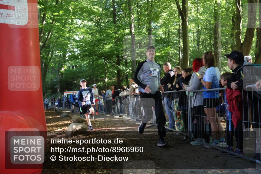 28.09.2025 - 33. Volkslauf durch das schöne Alstertal Strokosch-Dieckow http://msf.ph/oto/8966960 28.09.2025 11:37:06 Ziel 1519, 3008, 3034, 3110, 3401, 3402 meine-sportfotos.de