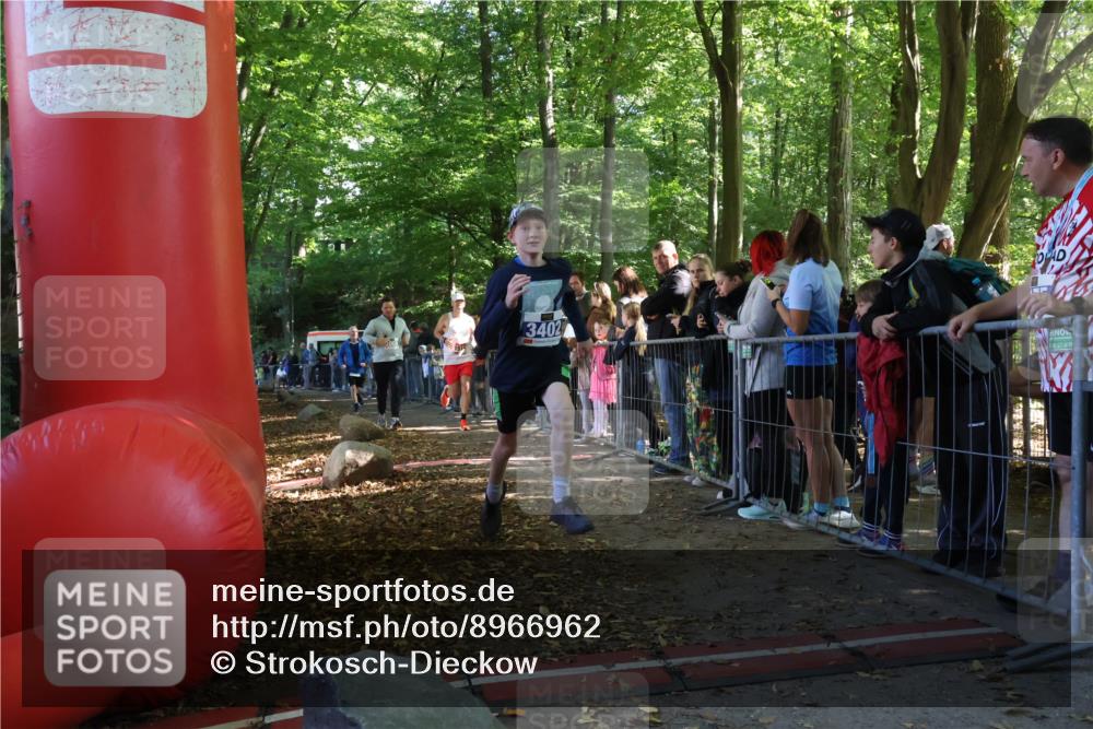 28.09.2025 - 33. Volkslauf durch das schöne Alstertal Strokosch-Dieckow http://msf.ph/oto/8966962 28.09.2025 11:37:06 Ziel 1519, 3008, 3034, 3110, 3401, 3402 meine-sportfotos.de