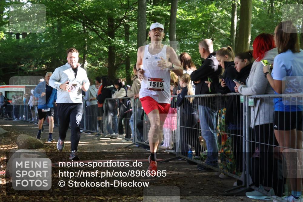 28.09.2025 - 33. Volkslauf durch das schöne Alstertal Strokosch-Dieckow http://msf.ph/oto/8966965 28.09.2025 11:37:08 Ziel 1519, 3008, 3034, 3110 meine-sportfotos.de