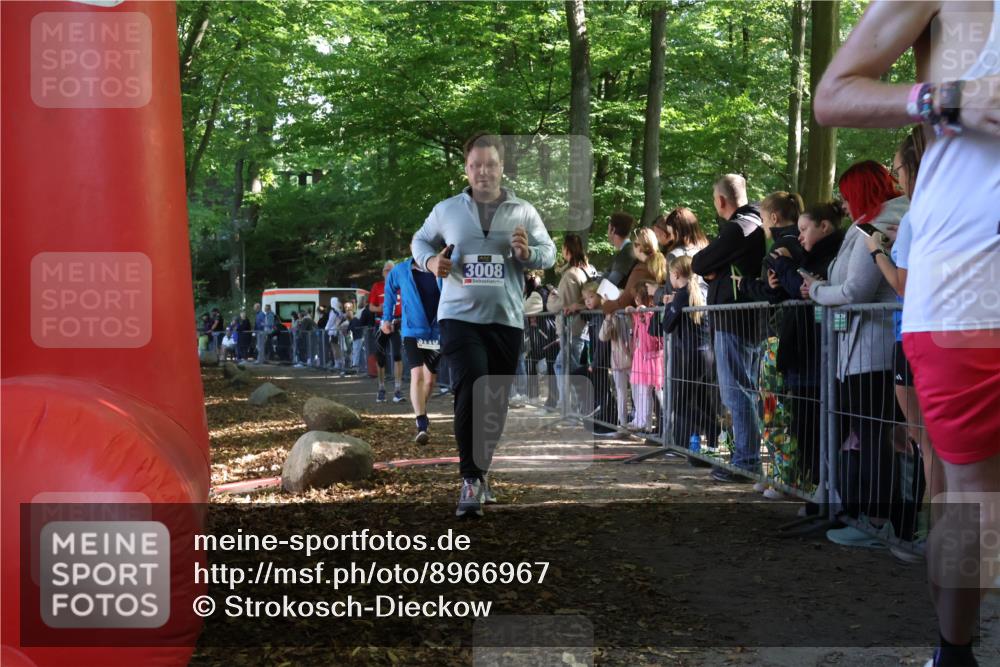 28.09.2025 - 33. Volkslauf durch das schöne Alstertal Strokosch-Dieckow http://msf.ph/oto/8966967 28.09.2025 11:37:09 Ziel 1519, 1543, 3008, 3034, 3110 meine-sportfotos.de