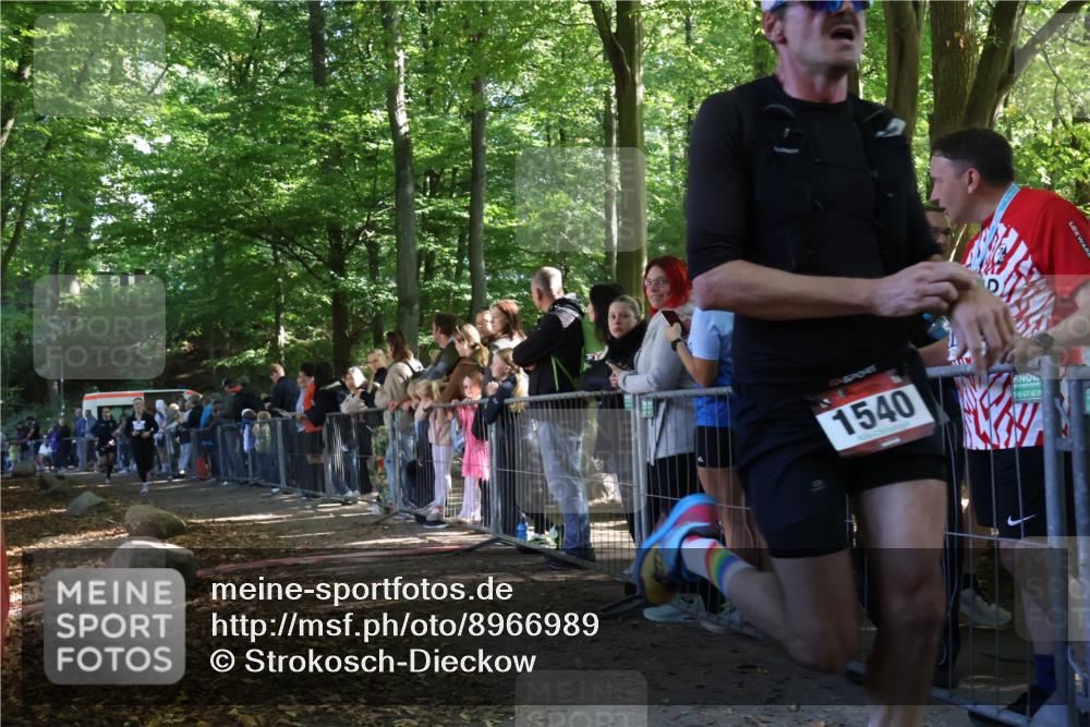28.09.2025 - 33. Volkslauf durch das schöne Alstertal Strokosch-Dieckow http://msf.ph/oto/8966989 28.09.2025 11:37:25 Ziel 1535, 1540, 3161 meine-sportfotos.de