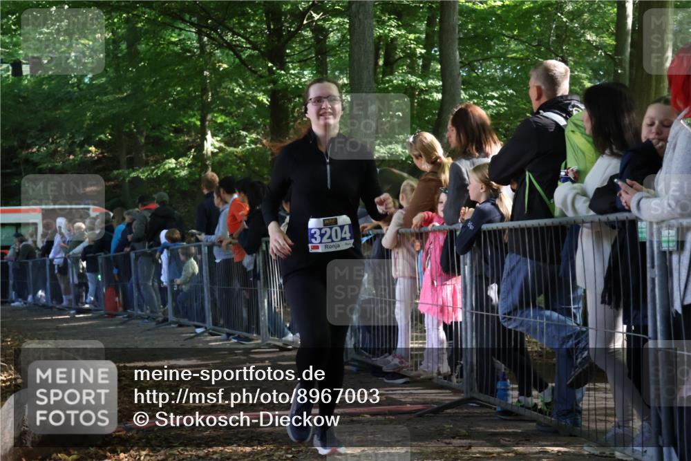 28.09.2025 - 33. Volkslauf durch das schöne Alstertal Strokosch-Dieckow http://msf.ph/oto/8967003 28.09.2025 11:37:41 Ziel 1528, 3204 meine-sportfotos.de