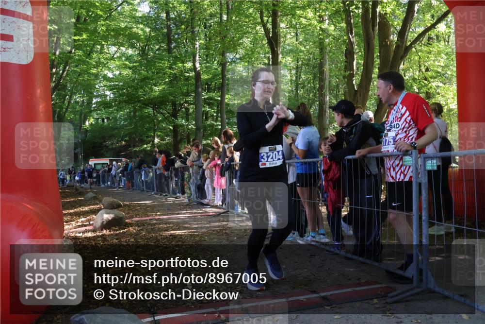 28.09.2025 - 33. Volkslauf durch das schöne Alstertal Strokosch-Dieckow http://msf.ph/oto/8967005 28.09.2025 11:37:42 Ziel 1528, 3204 meine-sportfotos.de