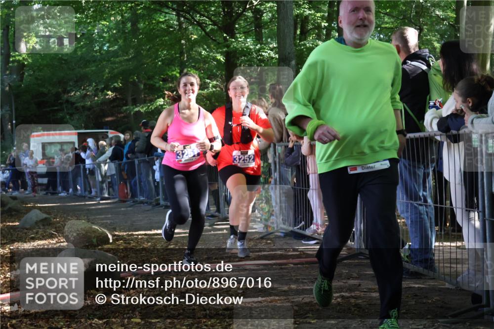28.09.2025 - 33. Volkslauf durch das schöne Alstertal Strokosch-Dieckow http://msf.ph/oto/8967016 28.09.2025 11:37:59 Ziel 1537, 3123, 3130, 3251, 3252, 3290 meine-sportfotos.de