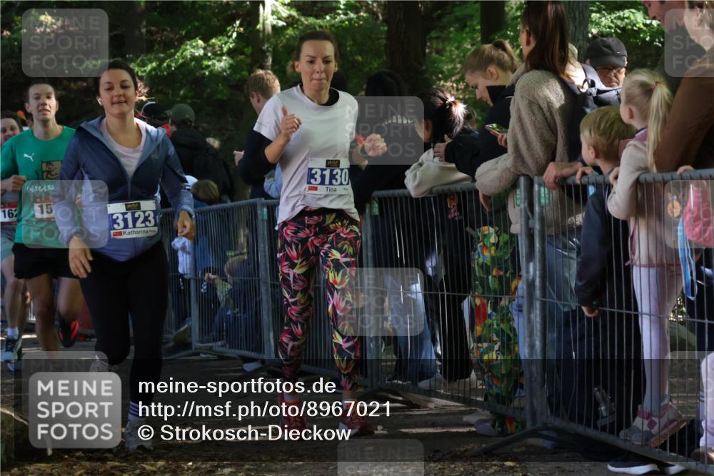 28.09.2025 - 33. Volkslauf durch das schöne Alstertal Strokosch-Dieckow http://msf.ph/oto/8967021 28.09.2025 11:38:06 Ziel 1537, 1627, 1628, 3123, 3130, 3958 meine-sportfotos.de