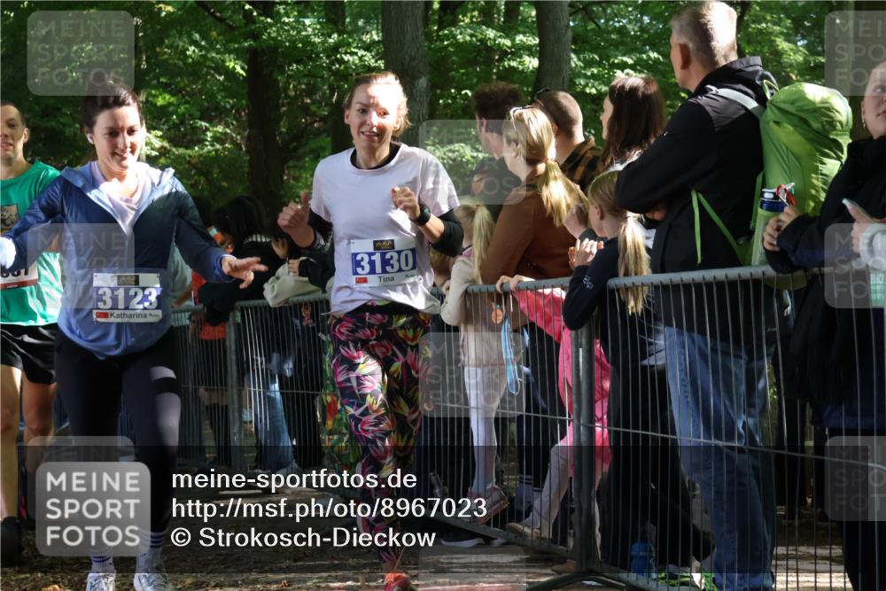 28.09.2025 - 33. Volkslauf durch das schöne Alstertal Strokosch-Dieckow http://msf.ph/oto/8967023 28.09.2025 11:38:07 Ziel 1537, 1627, 1628, 3123, 3130, 3320, 3958 meine-sportfotos.de