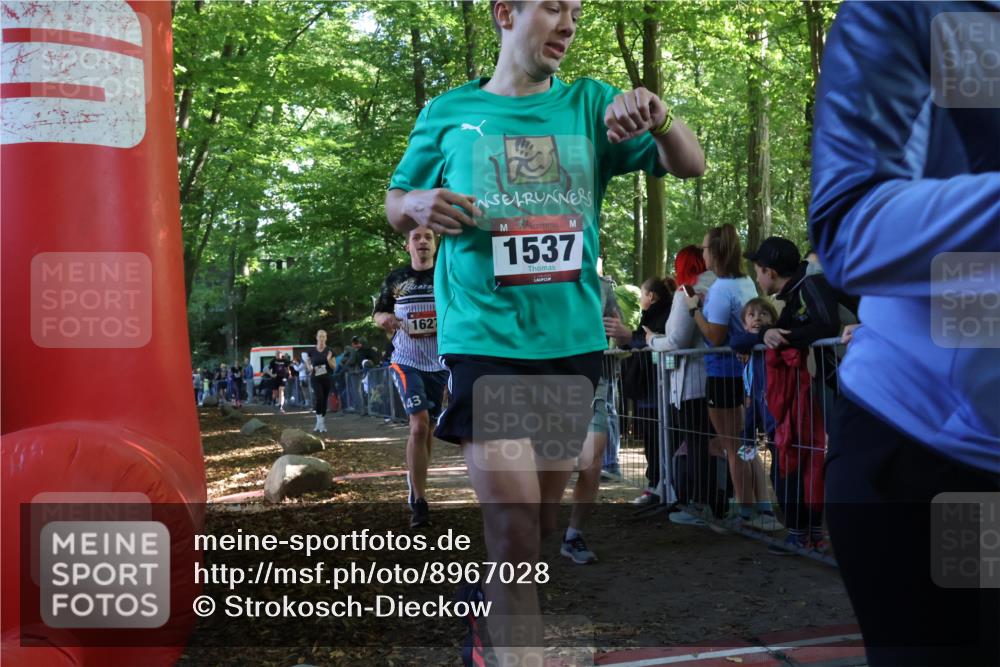 28.09.2025 - 33. Volkslauf durch das schöne Alstertal Strokosch-Dieckow http://msf.ph/oto/8967028 28.09.2025 11:38:10 Ziel 1627, 1628, 2626, 3056, 3320, 3958 meine-sportfotos.de