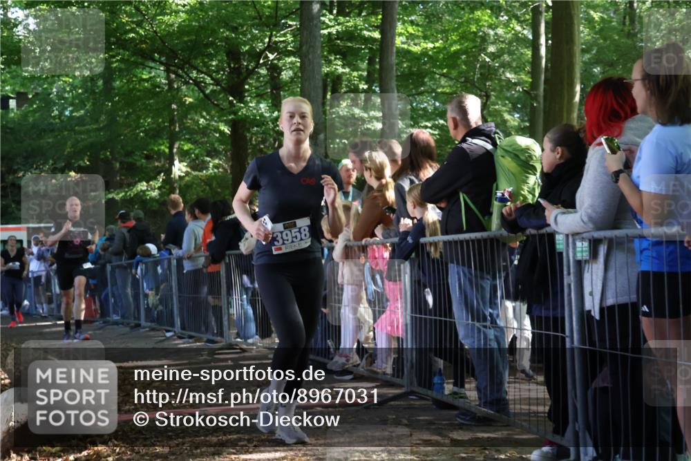 28.09.2025 - 33. Volkslauf durch das schöne Alstertal Strokosch-Dieckow http://msf.ph/oto/8967031 28.09.2025 11:38:12 Ziel 2626, 3056, 3320, 3958 meine-sportfotos.de