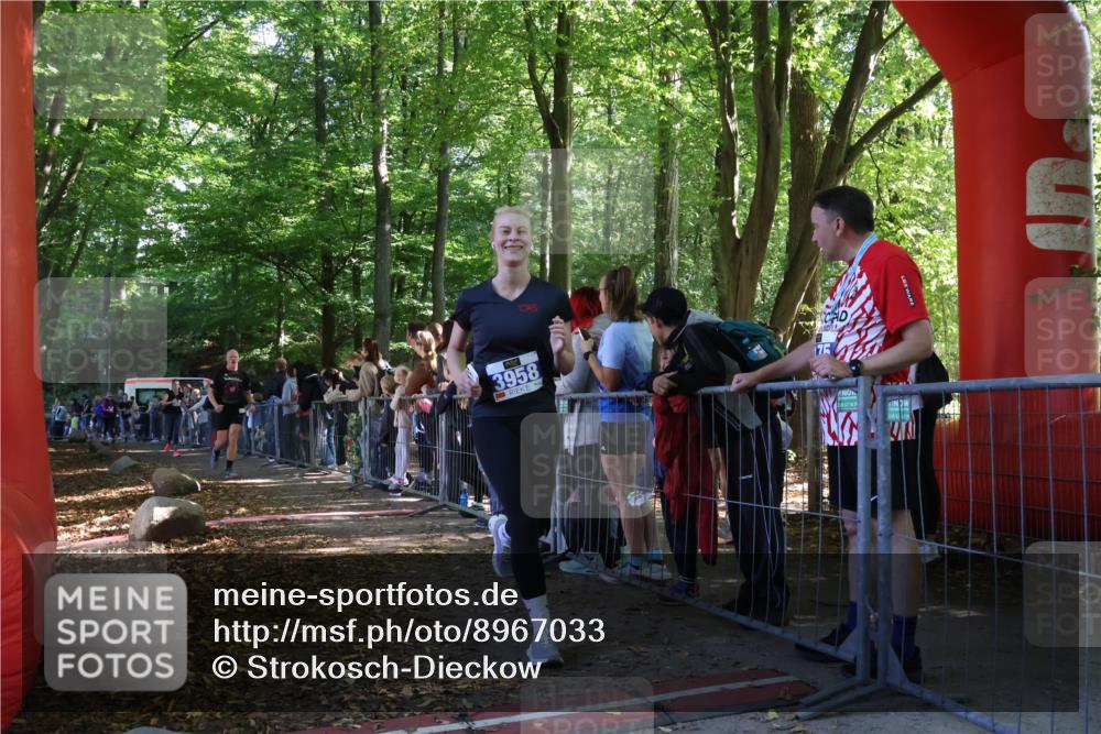 28.09.2025 - 33. Volkslauf durch das schöne Alstertal Strokosch-Dieckow http://msf.ph/oto/8967033 28.09.2025 11:38:13 Ziel 2626, 3056, 3320, 3958 meine-sportfotos.de