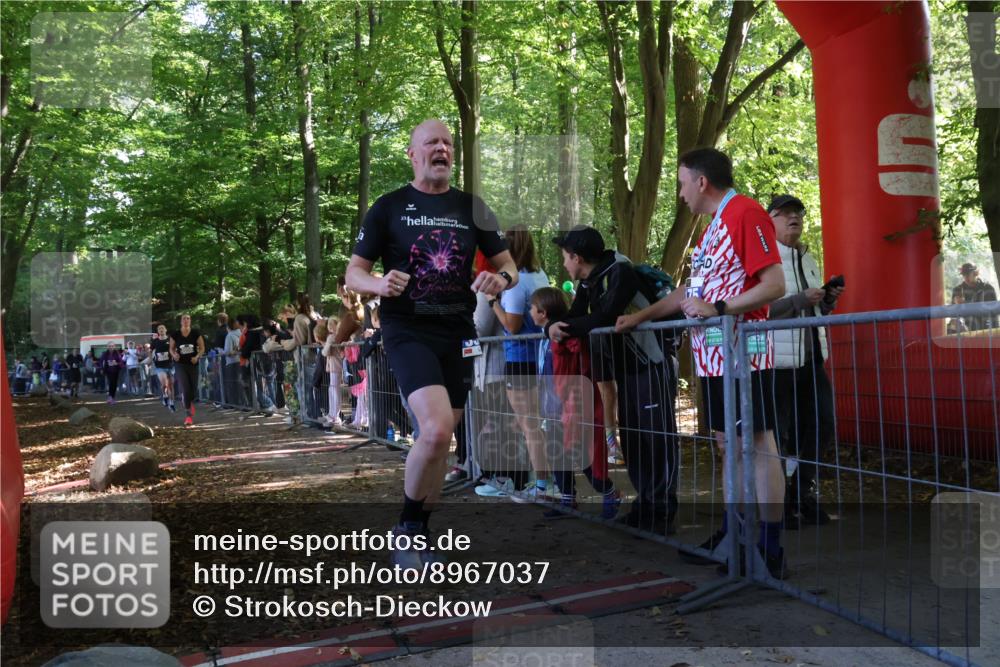 28.09.2025 - 33. Volkslauf durch das schöne Alstertal Strokosch-Dieckow http://msf.ph/oto/8967037 28.09.2025 11:38:17 Ziel 2626, 3056, 3214, 3228, 3320 meine-sportfotos.de