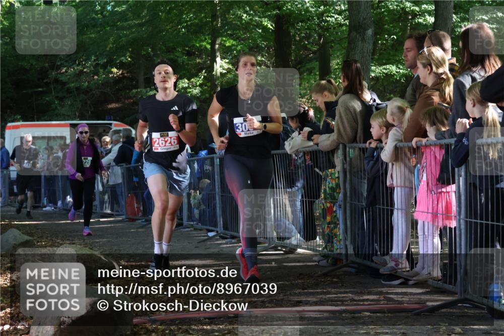 28.09.2025 - 33. Volkslauf durch das schöne Alstertal Strokosch-Dieckow http://msf.ph/oto/8967039 28.09.2025 11:38:18 Ziel 2626, 3056, 3214, 3228 meine-sportfotos.de