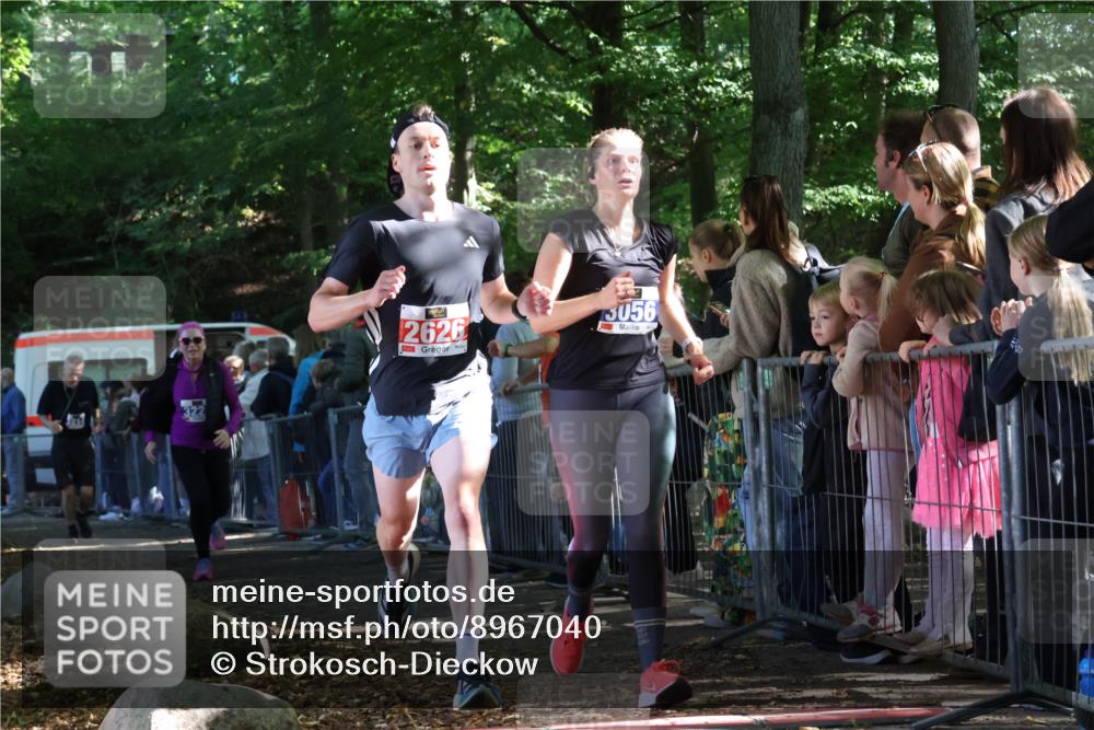 28.09.2025 - 33. Volkslauf durch das schöne Alstertal Strokosch-Dieckow http://msf.ph/oto/8967040 28.09.2025 11:38:18 Ziel 2626, 3056, 3214, 3228 meine-sportfotos.de