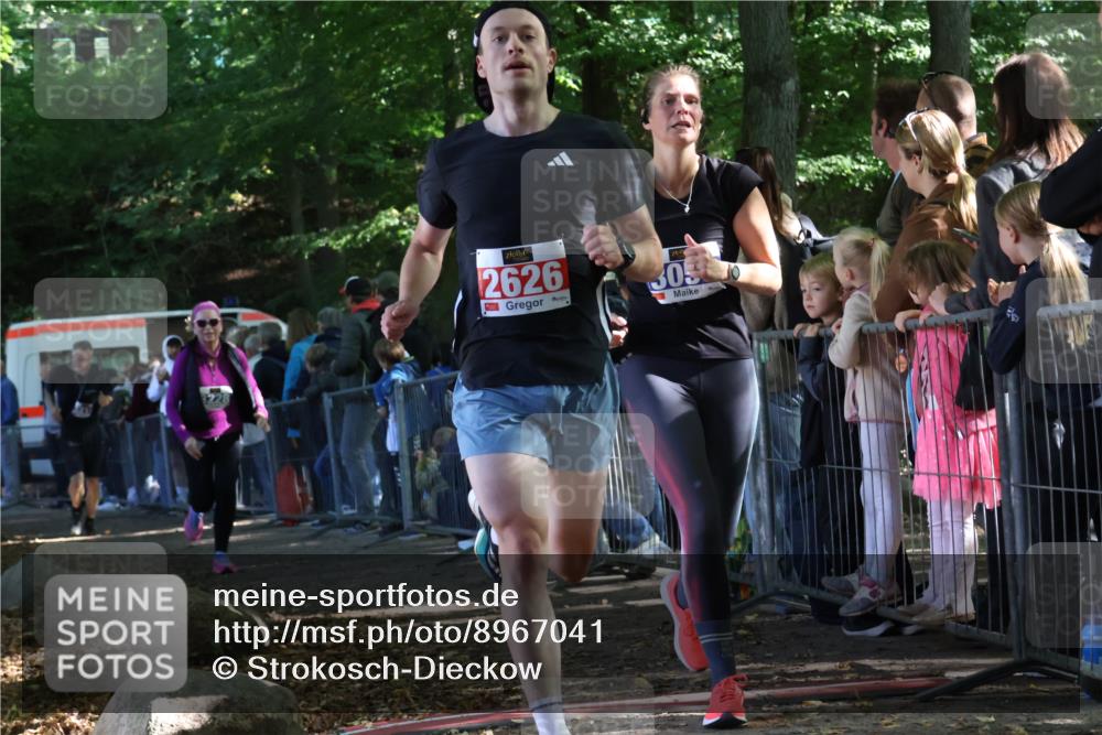 28.09.2025 - 33. Volkslauf durch das schöne Alstertal Strokosch-Dieckow http://msf.ph/oto/8967041 28.09.2025 11:38:19 Ziel 2626, 3056, 3214, 3228 meine-sportfotos.de