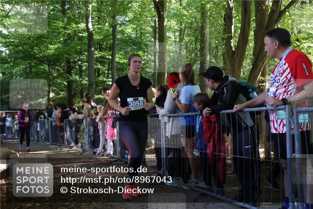 28.09.2025 - 33. Volkslauf durch das schöne Alstertal Strokosch-Dieckow http://msf.ph/oto/8967043 28.09.2025 11:38:20 Ziel 2626, 3056, 3150, 3214, 3228 meine-sportfotos.de