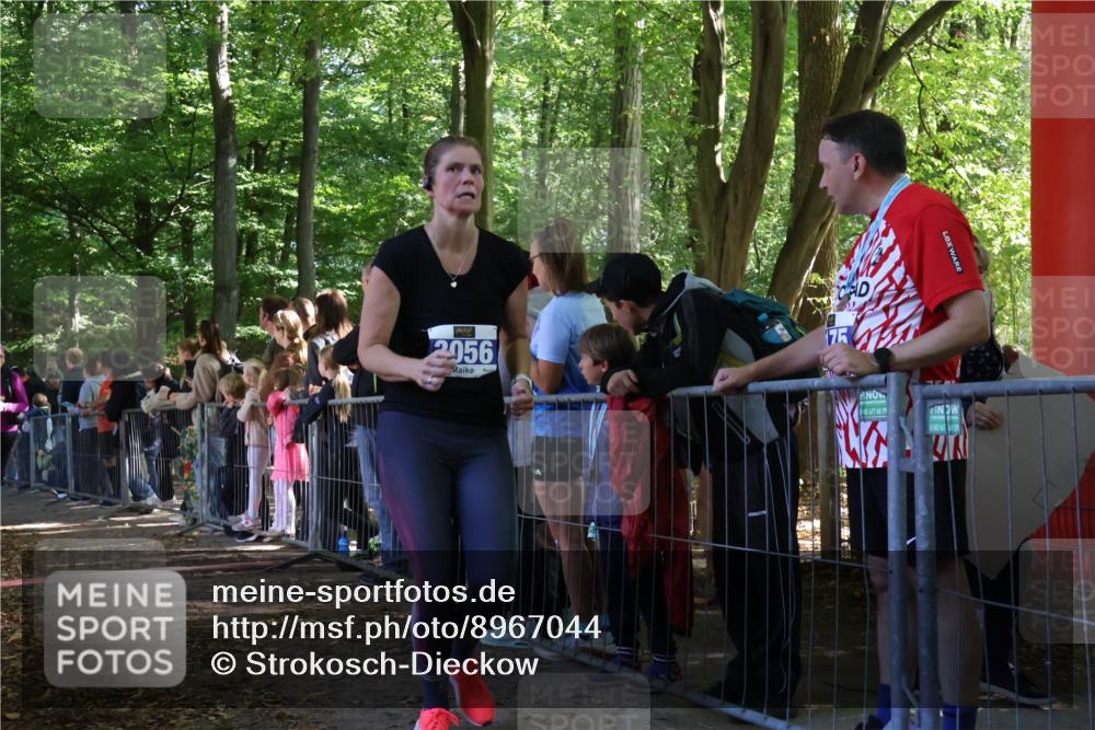 28.09.2025 - 33. Volkslauf durch das schöne Alstertal Strokosch-Dieckow http://msf.ph/oto/8967044 28.09.2025 11:38:20 Ziel 2626, 3056, 3150, 3214, 3228 meine-sportfotos.de