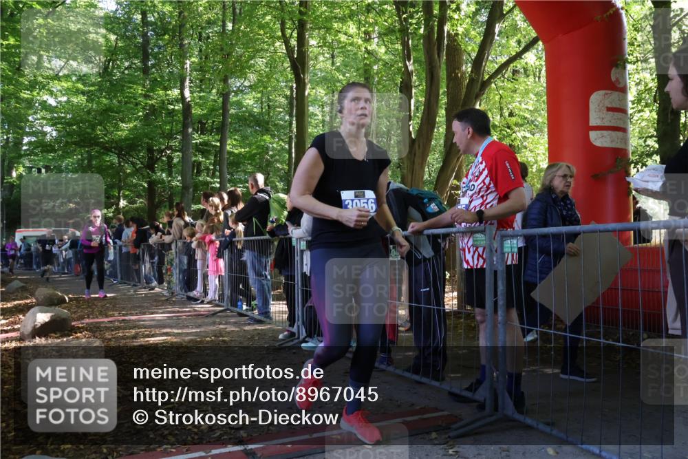 28.09.2025 - 33. Volkslauf durch das schöne Alstertal Strokosch-Dieckow http://msf.ph/oto/8967045 28.09.2025 11:38:21 Ziel 3150, 3214, 3228 meine-sportfotos.de