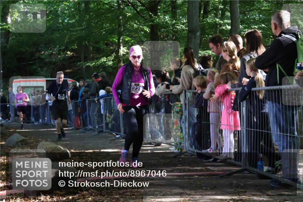 28.09.2025 - 33. Volkslauf durch das schöne Alstertal Strokosch-Dieckow http://msf.ph/oto/8967046 28.09.2025 11:38:22 Ziel 3150, 3214, 3228 meine-sportfotos.de