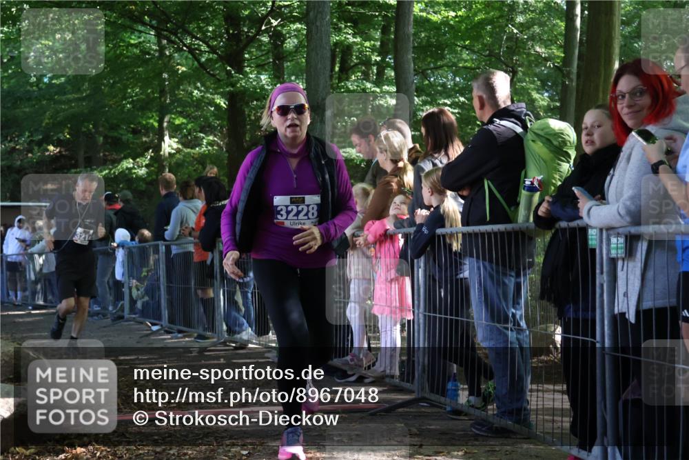 28.09.2025 - 33. Volkslauf durch das schöne Alstertal Strokosch-Dieckow http://msf.ph/oto/8967048 28.09.2025 11:38:23 Ziel 3150, 3214, 3228 meine-sportfotos.de