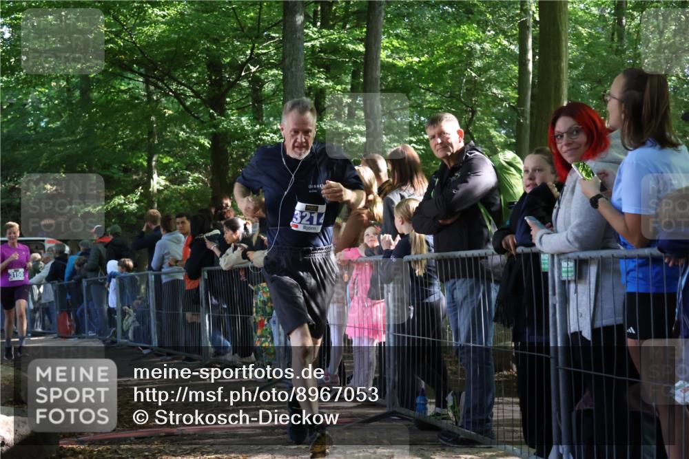 28.09.2025 - 33. Volkslauf durch das schöne Alstertal Strokosch-Dieckow http://msf.ph/oto/8967053 28.09.2025 11:38:25 Ziel 3150, 3214, 3951 meine-sportfotos.de