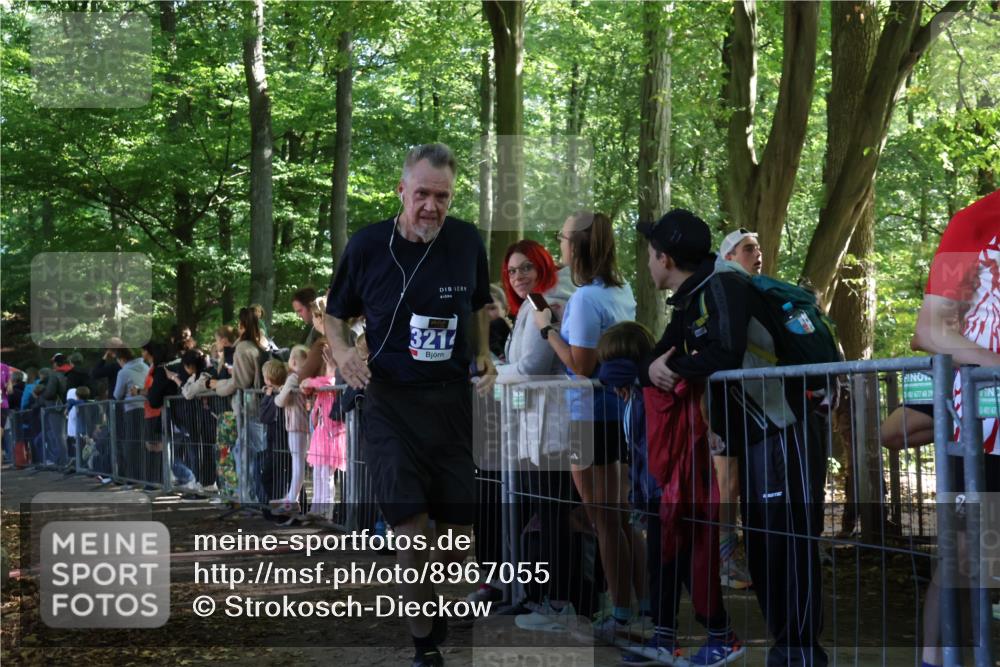 28.09.2025 - 33. Volkslauf durch das schöne Alstertal Strokosch-Dieckow http://msf.ph/oto/8967055 28.09.2025 11:38:26 Ziel 3150, 3214, 3951 meine-sportfotos.de