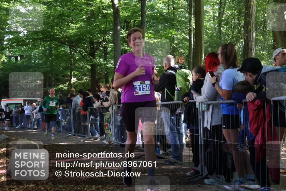 28.09.2025 - 33. Volkslauf durch das schöne Alstertal Strokosch-Dieckow http://msf.ph/oto/8967061 28.09.2025 11:38:30 Ziel 1557, 3150, 3154, 3350, 3951, 3952 meine-sportfotos.de
