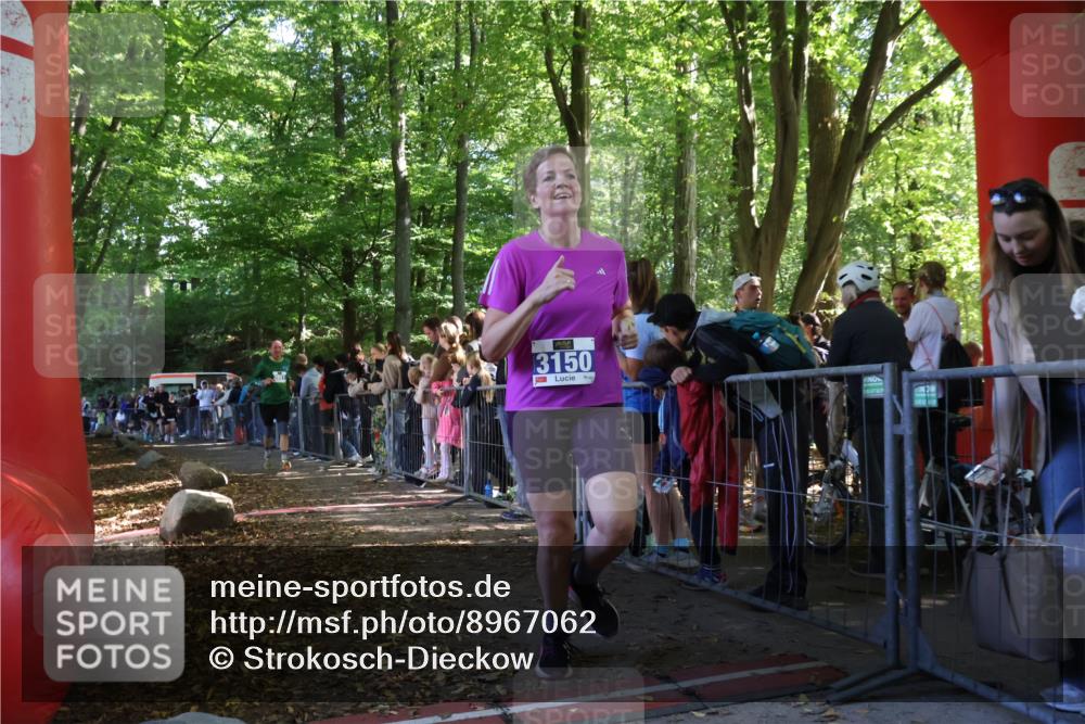 28.09.2025 - 33. Volkslauf durch das schöne Alstertal Strokosch-Dieckow http://msf.ph/oto/8967062 28.09.2025 11:38:30 Ziel 1557, 3150, 3154, 3350, 3951, 3952 meine-sportfotos.de