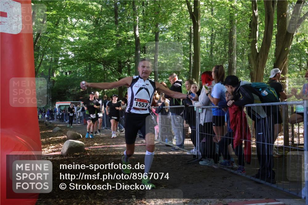 28.09.2025 - 33. Volkslauf durch das schöne Alstertal Strokosch-Dieckow http://msf.ph/oto/8967074 28.09.2025 11:38:37 Ziel 1557, 3120, 3154, 3350, 3952 meine-sportfotos.de