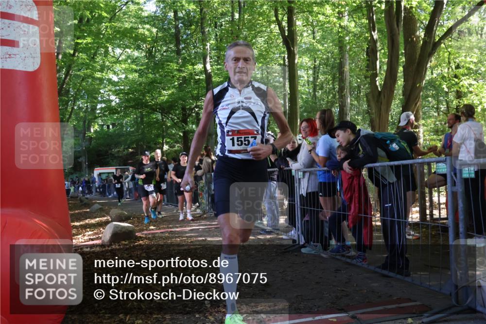 28.09.2025 - 33. Volkslauf durch das schöne Alstertal Strokosch-Dieckow http://msf.ph/oto/8967075 28.09.2025 11:38:37 Ziel 1557, 3120, 3154, 3350, 3952 meine-sportfotos.de