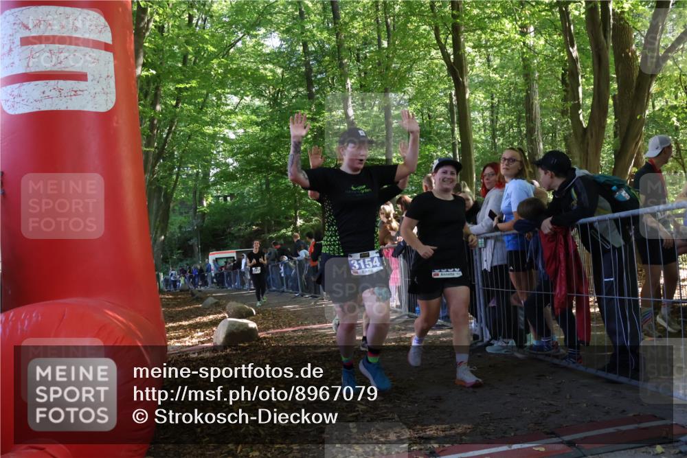 28.09.2025 - 33. Volkslauf durch das schöne Alstertal Strokosch-Dieckow http://msf.ph/oto/8967079 28.09.2025 11:38:40 Ziel 3120, 3154, 3350, 3952 meine-sportfotos.de