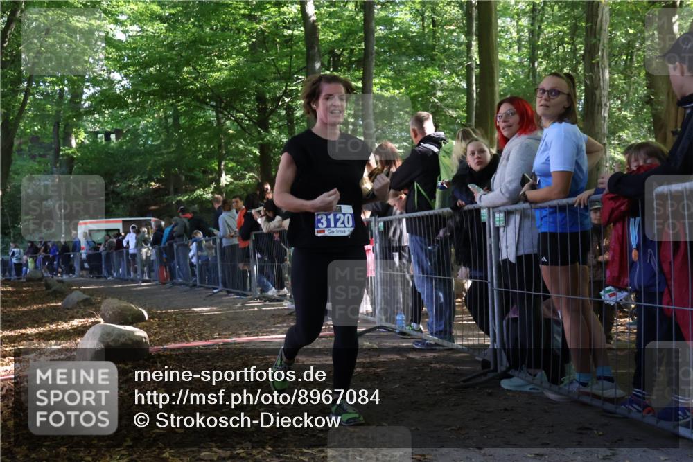 28.09.2025 - 33. Volkslauf durch das schöne Alstertal Strokosch-Dieckow http://msf.ph/oto/8967084 28.09.2025 11:38:44 Ziel 3120 meine-sportfotos.de