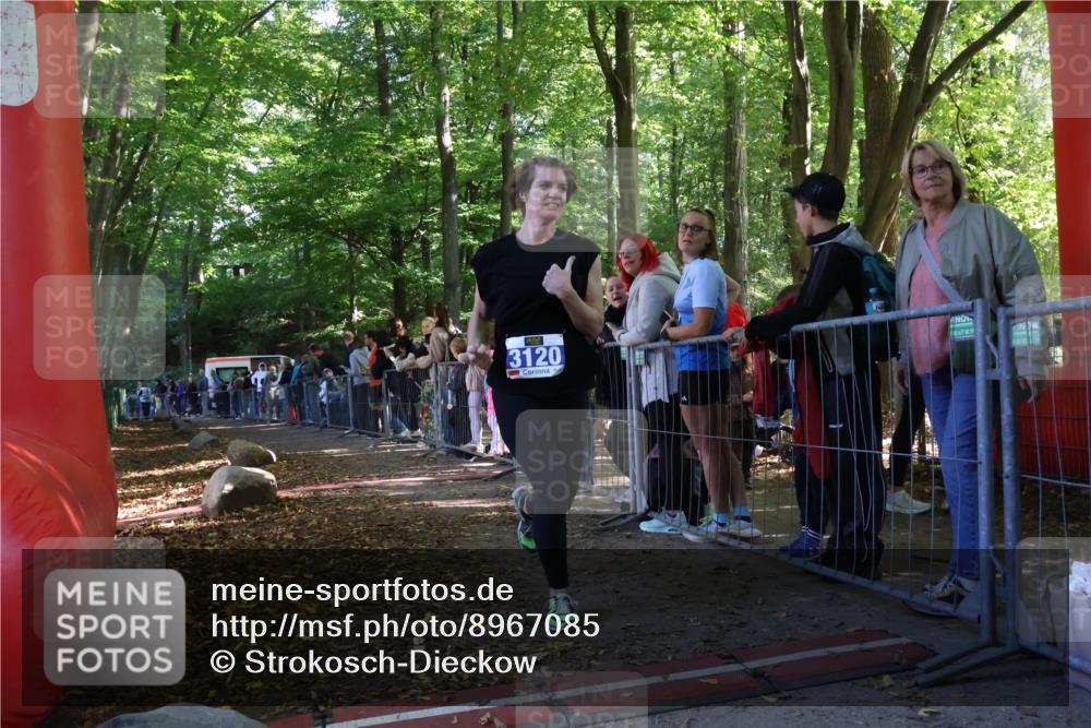 28.09.2025 - 33. Volkslauf durch das schöne Alstertal Strokosch-Dieckow http://msf.ph/oto/8967085 28.09.2025 11:38:44 Ziel 3120 meine-sportfotos.de