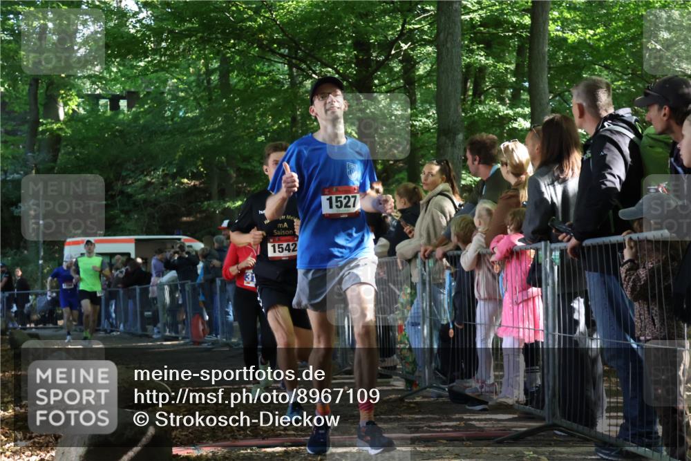 28.09.2025 - 33. Volkslauf durch das schöne Alstertal Strokosch-Dieckow http://msf.ph/oto/8967109 28.09.2025 11:39:19 Ziel 1522, 1527, 1542, 1554, 1768, 3127, 3128 meine-sportfotos.de