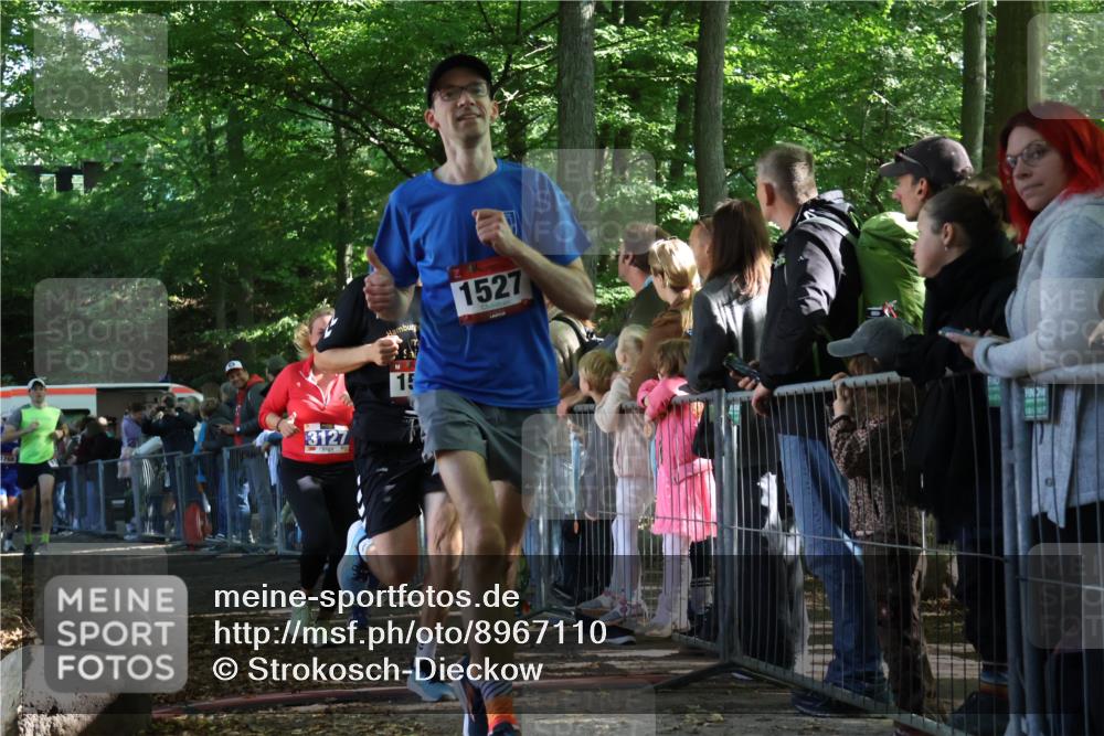 28.09.2025 - 33. Volkslauf durch das schöne Alstertal Strokosch-Dieckow http://msf.ph/oto/8967110 28.09.2025 11:39:19 Ziel 1522, 1527, 1542, 1554, 1768, 3127, 3128 meine-sportfotos.de