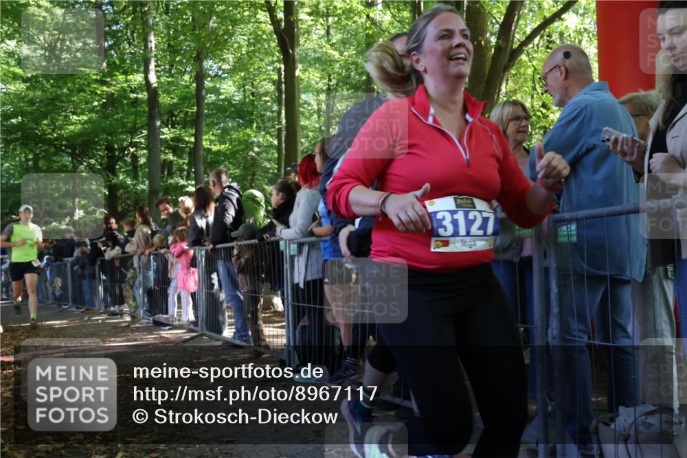 28.09.2025 - 33. Volkslauf durch das schöne Alstertal Strokosch-Dieckow http://msf.ph/oto/8967117 28.09.2025 11:39:22 Ziel 1554, 1768, 3127 meine-sportfotos.de