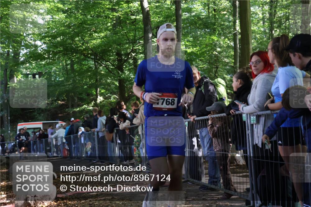 28.09.2025 - 33. Volkslauf durch das schöne Alstertal Strokosch-Dieckow http://msf.ph/oto/8967124 28.09.2025 11:39:25 Ziel 1554, 1768, 3170, 3221 meine-sportfotos.de