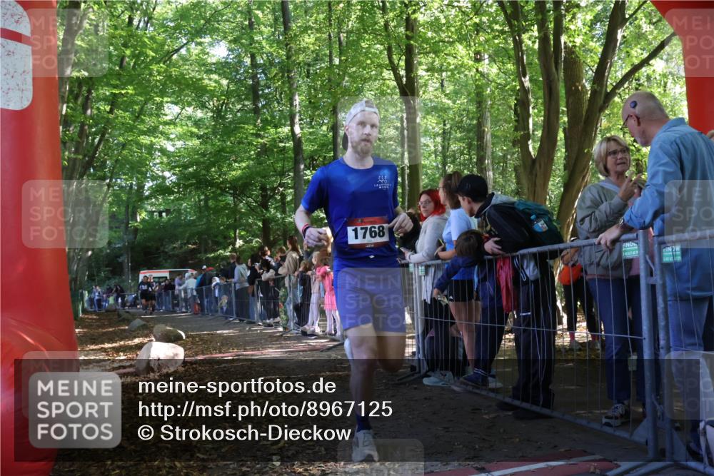 28.09.2025 - 33. Volkslauf durch das schöne Alstertal Strokosch-Dieckow http://msf.ph/oto/8967125 28.09.2025 11:39:26 Ziel 1768, 3170, 3221 meine-sportfotos.de