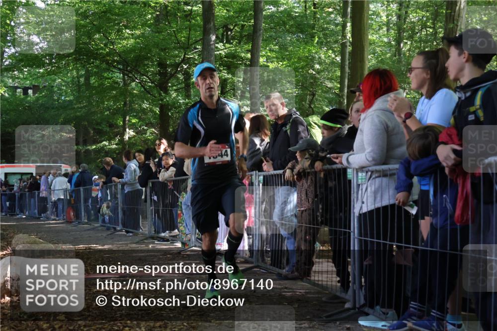 28.09.2025 - 33. Volkslauf durch das schöne Alstertal Strokosch-Dieckow http://msf.ph/oto/8967140 28.09.2025 11:39:50 Ziel 1544, 3257, 3258 meine-sportfotos.de