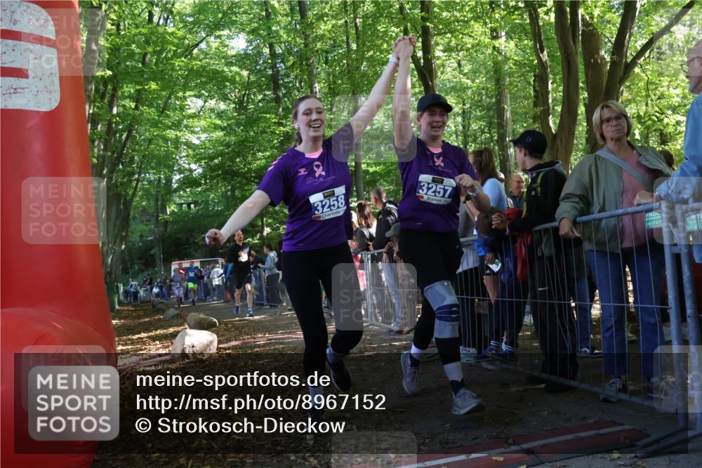 28.09.2025 - 33. Volkslauf durch das schöne Alstertal Strokosch-Dieckow http://msf.ph/oto/8967152 28.09.2025 11:39:59 Ziel 1550, 1767, 3146, 3257, 3258, 3277, 3399 meine-sportfotos.de