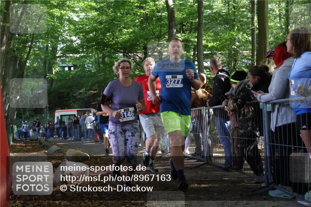 28.09.2025 - 33. Volkslauf durch das schöne Alstertal Strokosch-Dieckow http://msf.ph/oto/8967163 28.09.2025 11:40:06 Ziel 1550, 3146, 3277, 3399 meine-sportfotos.de