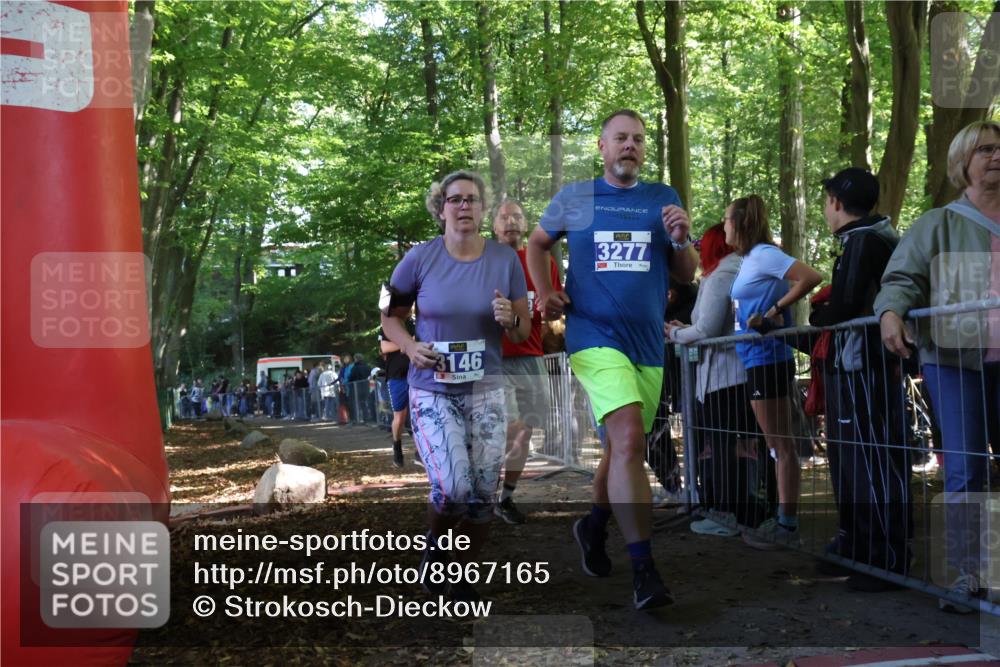 28.09.2025 - 33. Volkslauf durch das schöne Alstertal Strokosch-Dieckow http://msf.ph/oto/8967165 28.09.2025 11:40:07 Ziel 1550, 3146, 3277, 3399 meine-sportfotos.de