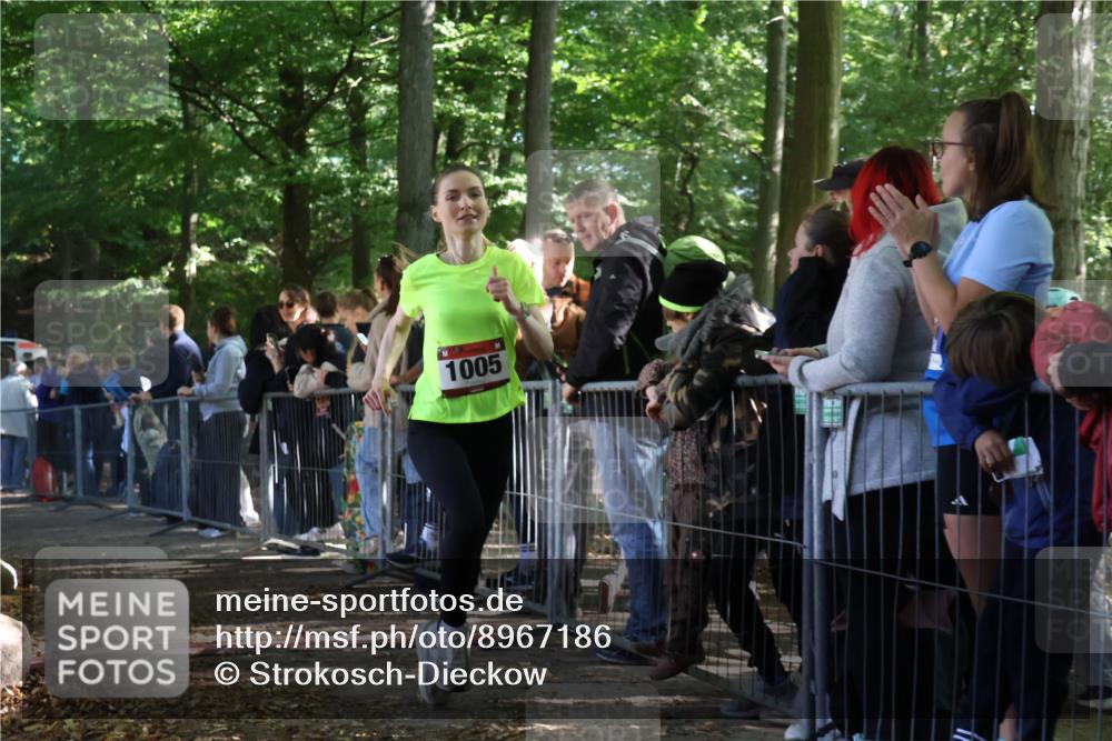 28.09.2025 - 33. Volkslauf durch das schöne Alstertal Strokosch-Dieckow http://msf.ph/oto/8967186 28.09.2025 11:40:31 Ziel 1005, 3243, 3259 meine-sportfotos.de